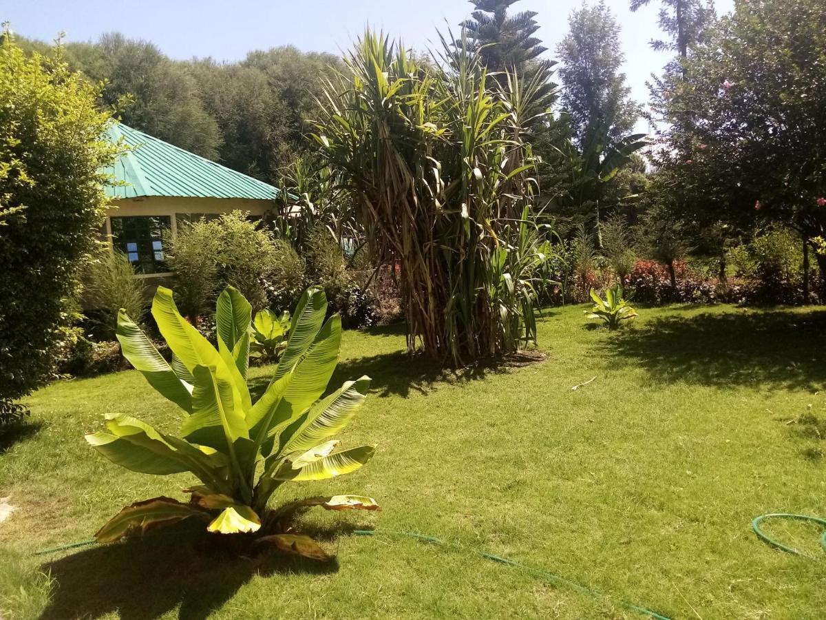 Homebase Gardens Nakuru Ngoại thất bức ảnh
