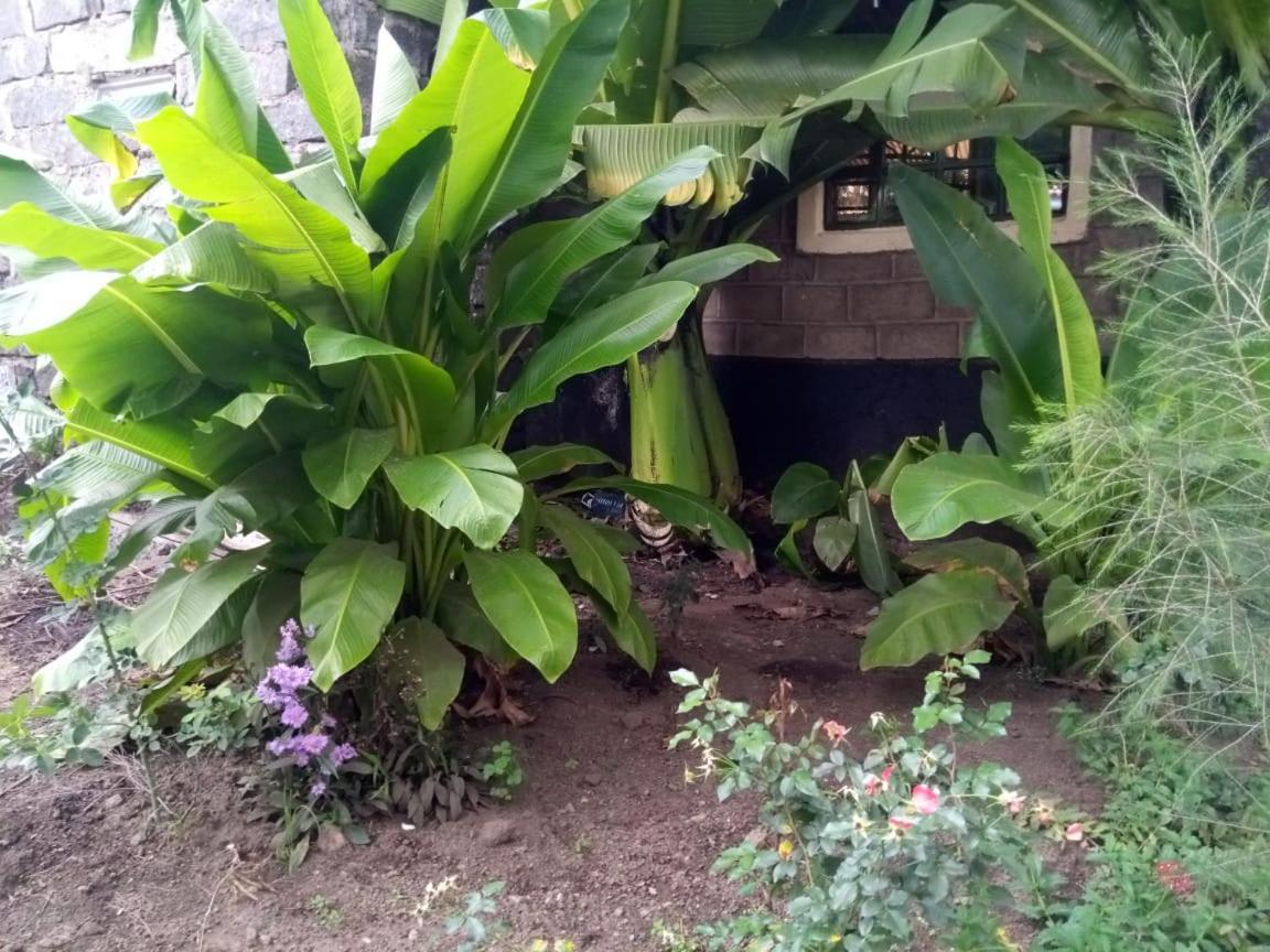 Homebase Gardens Nakuru Ngoại thất bức ảnh